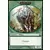 Retour sur Ravnica - Rhinocéros