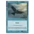 Corbeau de l'orage