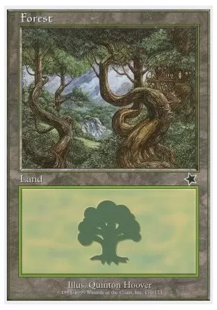 Starter - Forêt