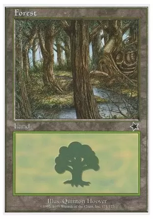 Starter - Forêt