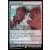Zendikar Expeditions - Saillies de la cascade