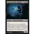 Faucon de nuit vampire