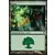 Forêt