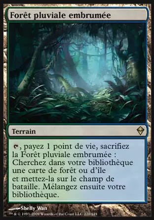 Zendikar - Forêt pluviale embrumée