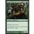 Guide d'horizon de Zendikar