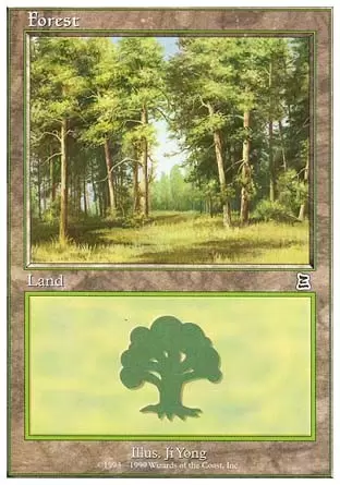 Battle Royale - Forêt
