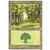 Forêt