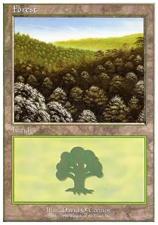 Battle Royale - Forêt
