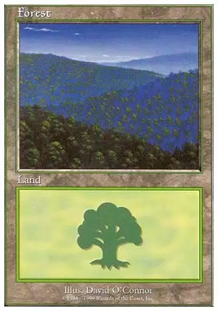 Battle Royale - Forêt