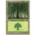 Forêt