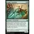Jungle Wayfinder