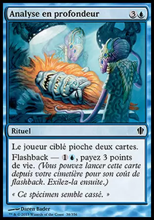 Commander 2013 - Analyse en profondeur