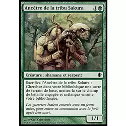 Ancêtre de la tribu Sakura