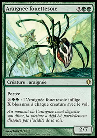 Commander 2013 - Araignée fouettesoie