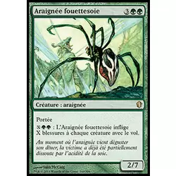 Araignée fouettesoie