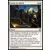 Commander 2013 - Cache de survie