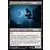 Faucon de nuit vampire