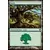 Forêt