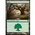 Forêt
