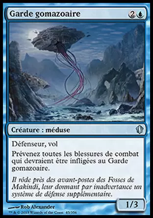Commander 2013 - Garde gomazoaire