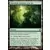 Llanowar revenue à la vie