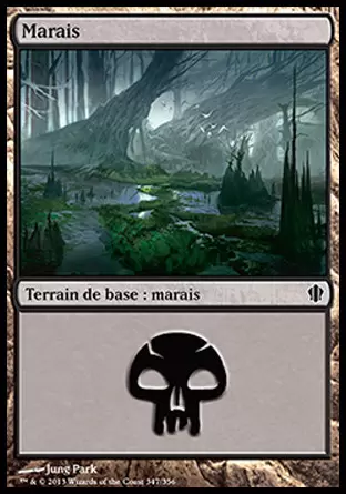 Commander 2013 - Marais