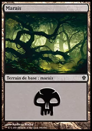 Commander 2013 - Marais