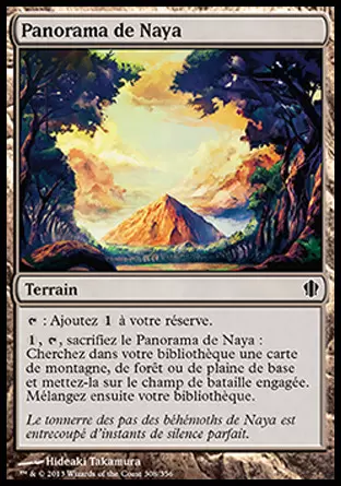Commander 2013 - Panorama de Naya