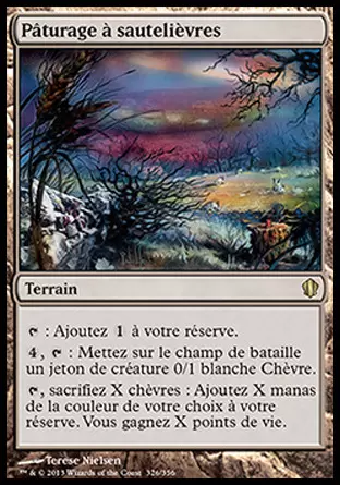 Commander 2013 - Pâturage à sautelièvres