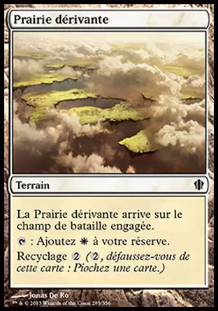 Commander 2013 - Prairie dérivante