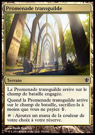 Commander 2013 - Promenade transguilde