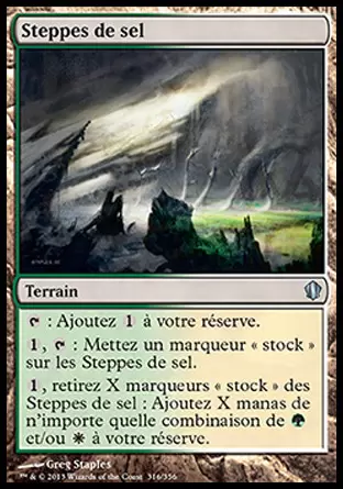 Commander 2013 - Steppes de sel