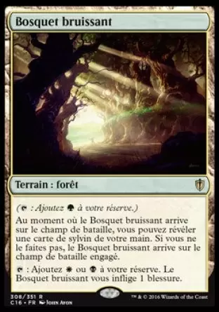 Commander 2016 - Bosquet bruissant