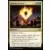 Commander 2016 - Charme d\'Abzan