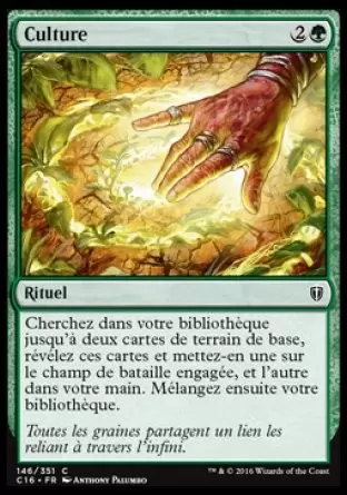 Commander 2016 - Culture