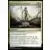 Commander 2016 - Défrichement sylvestre