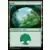 Forêt