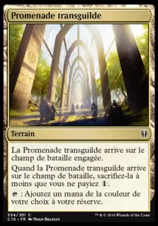 Commander 2016 - Promenade transguilde