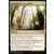 Commander 2016 - Promenade transguilde