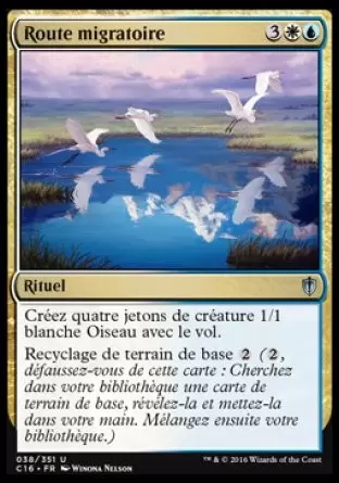 Commander 2016 - Route migratoire