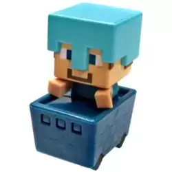 Steve? Minecart