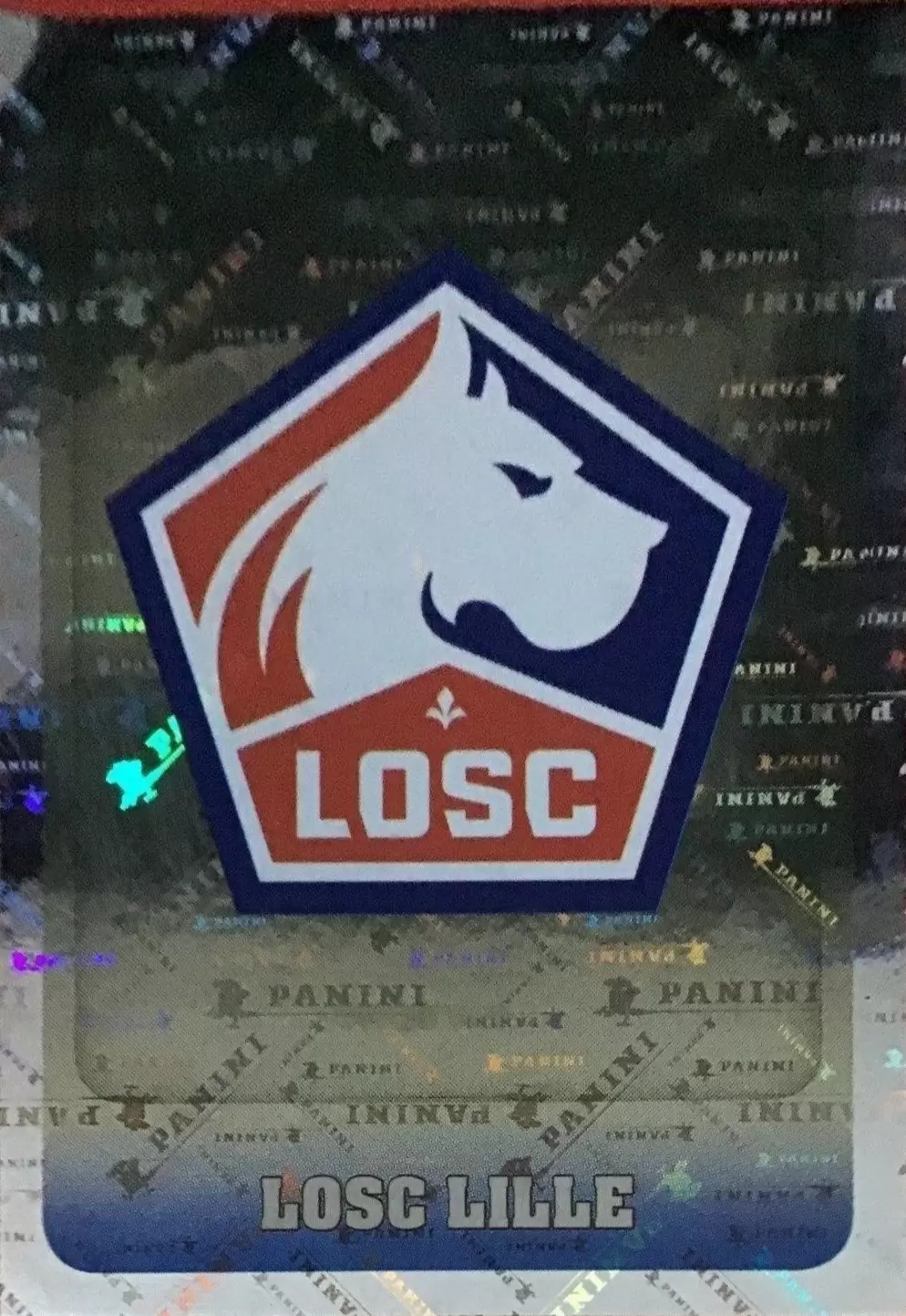 Championnat de France 2018-2019 - Écusson - LOSC Lille