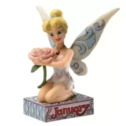 Tinker Bell - January