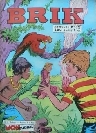 Brik - Le document secret