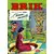 Brik - Le voilier du Diable