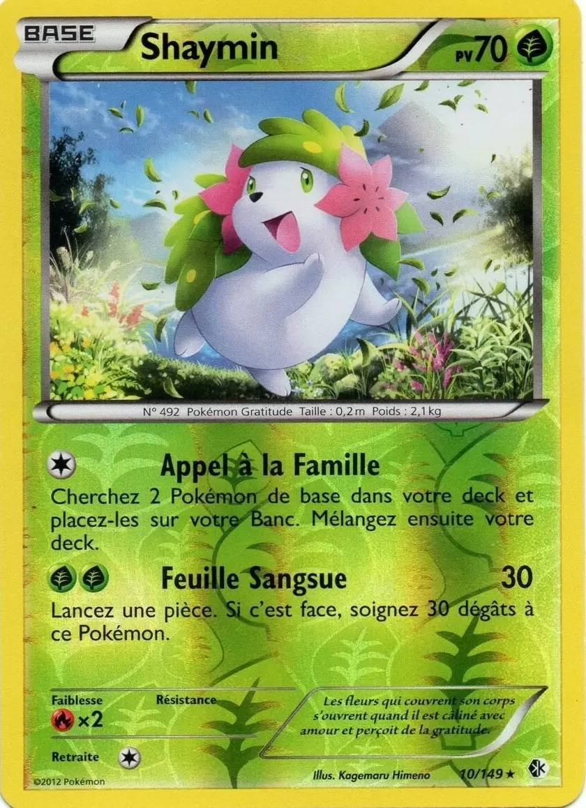 Frontières Franchies - Shaymin Reverse