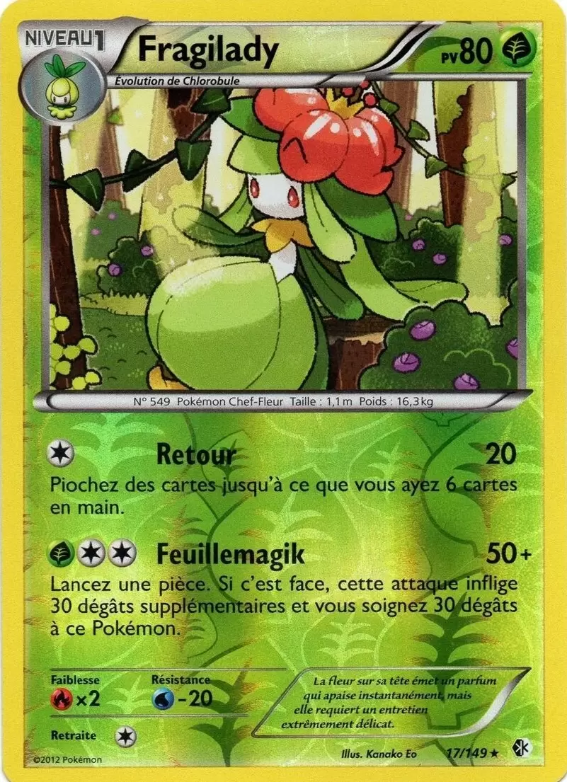 Frontières Franchies - Fragilady Reverse