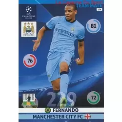 Fernando - Manchester City FC