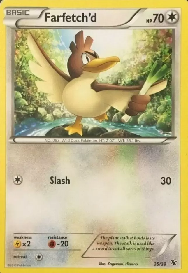 Farfetch'd Secret Wonders, Pokémon