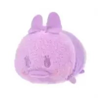 Daisy Pastel